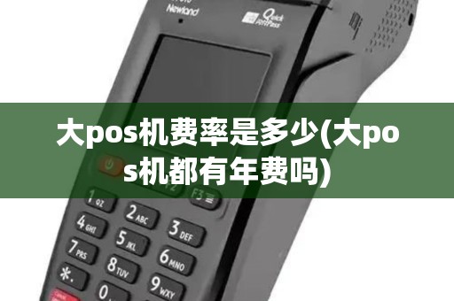 大pos机费率是多少(大pos机都有年费吗)