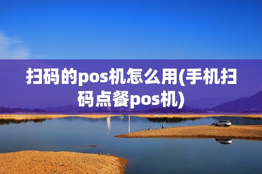 扫码的pos机怎么用(手机扫码点餐pos机)