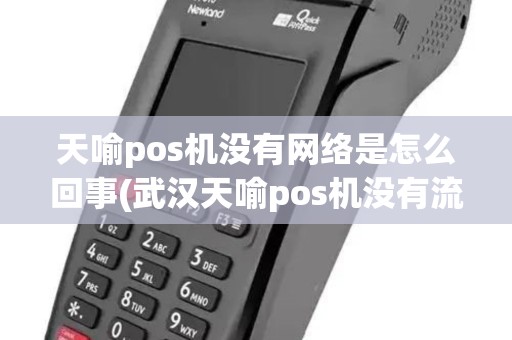 天喻pos机没有网络是怎么回事(武汉天喻pos机没有流量)