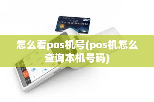 怎么看pos机号(pos机怎么查询本机号码)