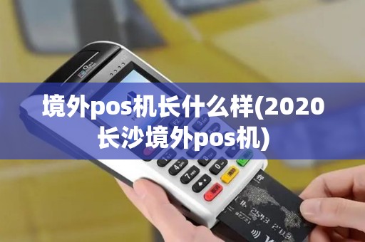 境外pos机长什么样(2020长沙境外pos机)