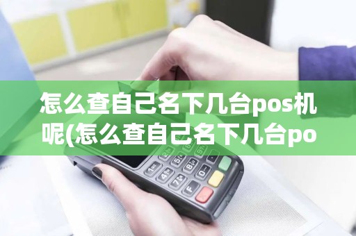 怎么查自己名下几台pos机呢(怎么查自己名下几台pos机)