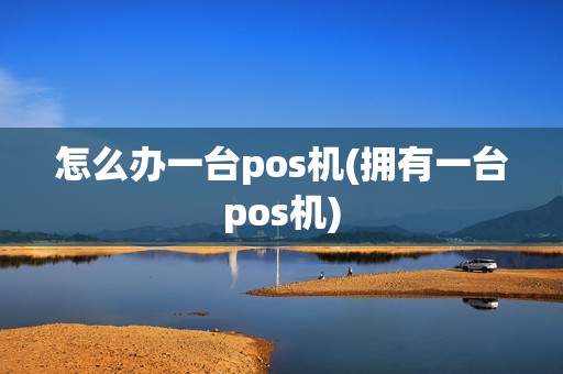 怎么办一台pos机(拥有一台pos机)