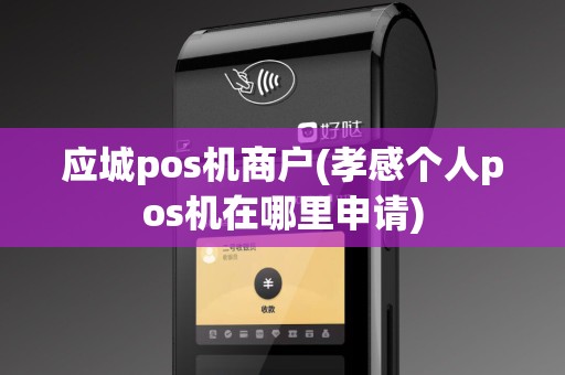 应城pos机商户(孝感个人pos机在哪里申请)