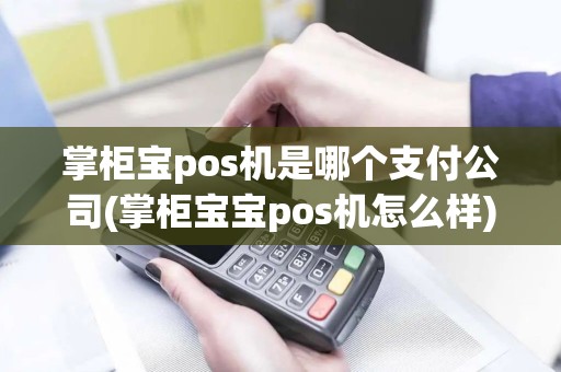 掌柜宝pos机是哪个支付公司(掌柜宝宝pos机怎么样)
