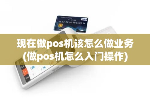 现在做pos机该怎么做业务(做pos机怎么入门操作)