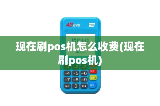 现在刷pos机怎么收费(现在刷pos机)