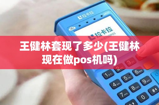 王健林套现了多少(王健林现在做pos机吗)