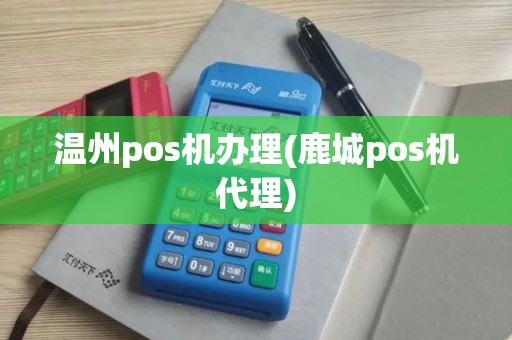 温州pos机办理(鹿城pos机代理)