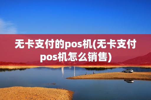 无卡支付的pos机(无卡支付pos机怎么销售)