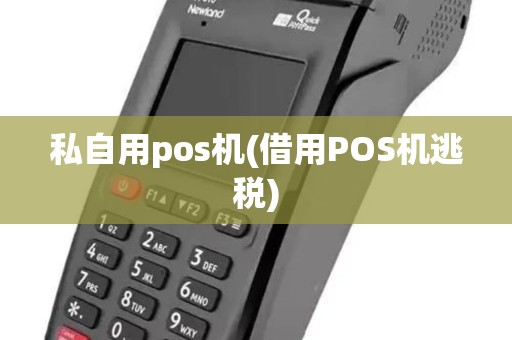 私自用pos机(借用POS机逃税)