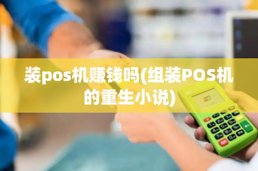 装pos机赚钱吗(组装POS机的重生小说)
