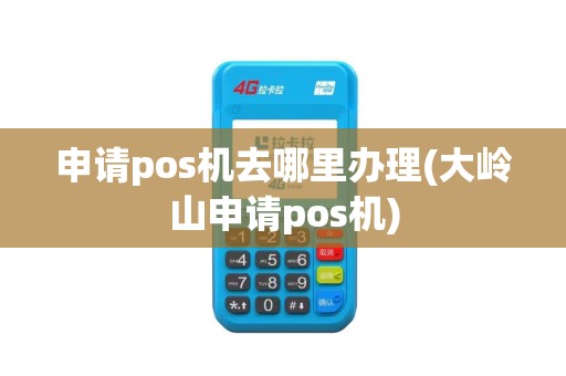 申请pos机去哪里办理(大岭山申请pos机)