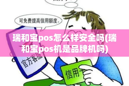 瑞和宝pos怎么样安全吗(瑞和宝pos机是品牌机吗)