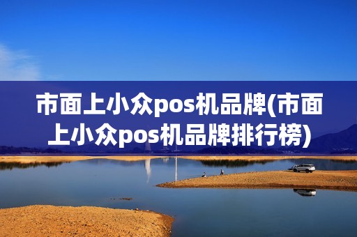 市面上小众pos机品牌(市面上小众pos机品牌排行榜)