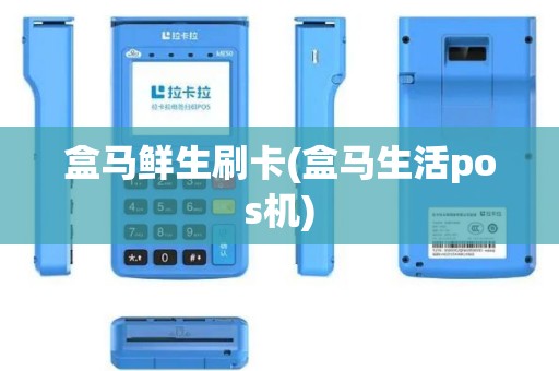 盒马鲜生刷卡(盒马生活pos机)