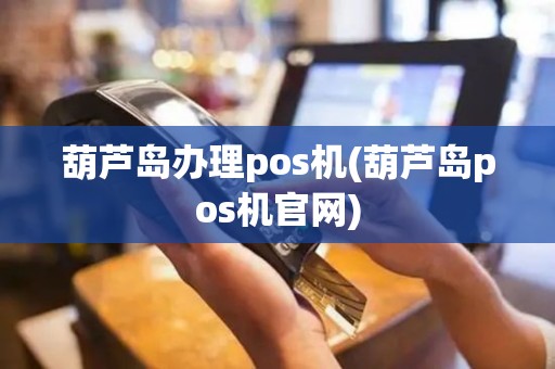 葫芦岛办理pos机(葫芦岛pos机官网)
