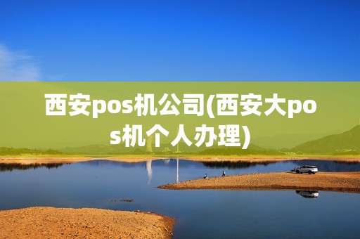 西安pos机公司(西安大pos机个人办理)
