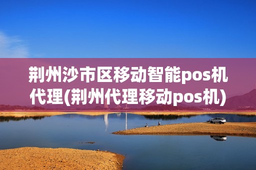 荆州沙市区移动智能pos机代理(荆州代理移动pos机)