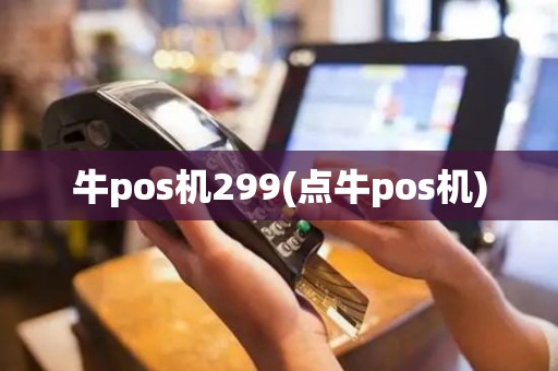 牛pos机299(点牛pos机)