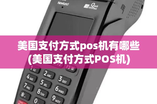 美国支付方式pos机有哪些(美国支付方式POS机)