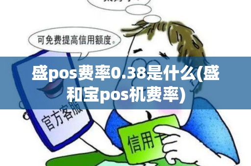 盛pos费率0.38是什么(盛和宝pos机费率)