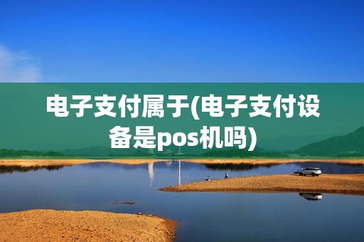 电子支付属于(电子支付设备是pos机吗)