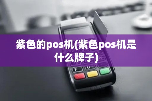 紫色的pos机(紫色pos机是什么牌子)