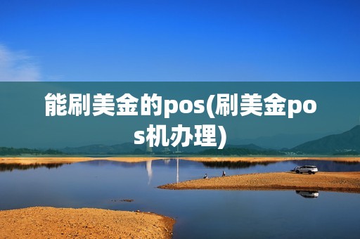 能刷美金的pos(刷美金pos机办理)