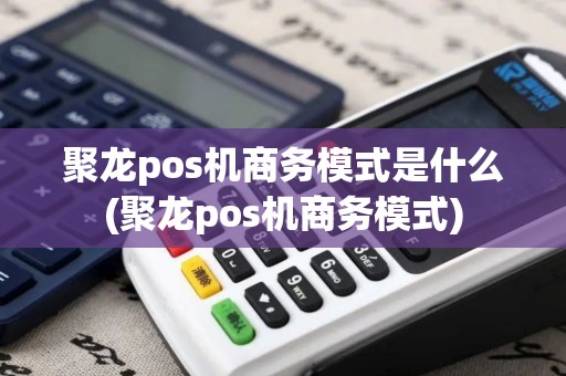 聚龙pos机商务模式是什么(聚龙pos机商务模式)