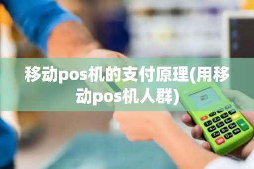 移动pos机的支付原理(用移动pos机人群)