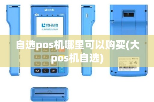 自选pos机哪里可以购买(大pos机自选)