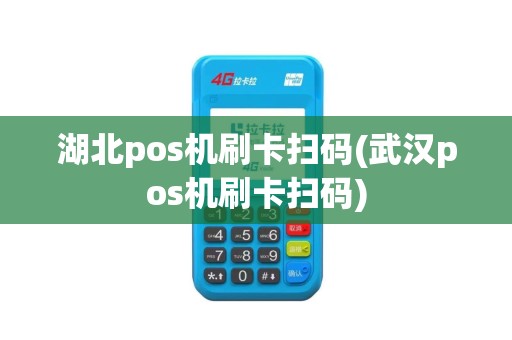 湖北pos机刷卡扫码(武汉pos机刷卡扫码)