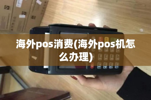 海外pos消费(海外pos机怎么办理)