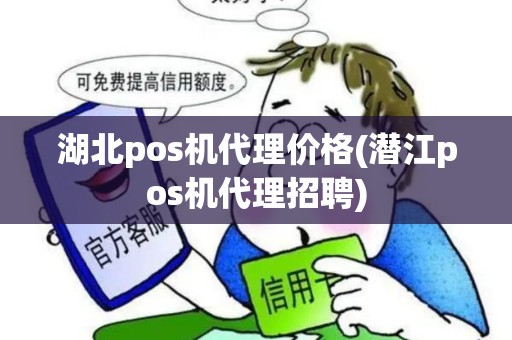 湖北pos机代理价格(潜江pos机代理招聘)