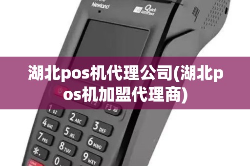 湖北pos机代理公司(湖北pos机加盟代理商)
