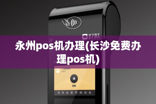 永州pos机办理(长沙免费办理pos机)
