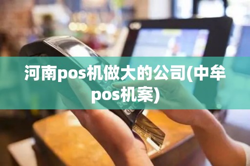 河南pos机做大的公司(中牟pos机案)