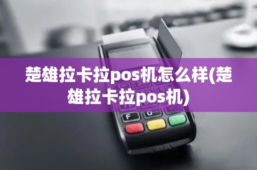 楚雄拉卡拉pos机怎么样(楚雄拉卡拉pos机)