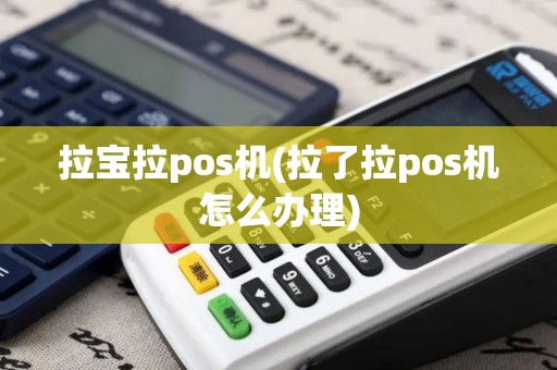 拉宝拉pos机(拉了拉pos机怎么办理)