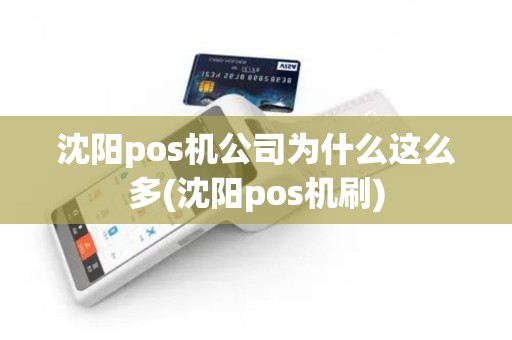 沈阳pos机公司为什么这么多(沈阳pos机刷)