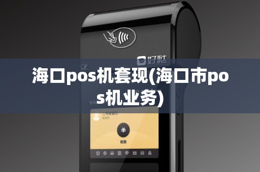 海口pos机套现(海口市pos机业务)