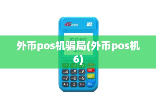 外币pos机骗局(外币pos机6)