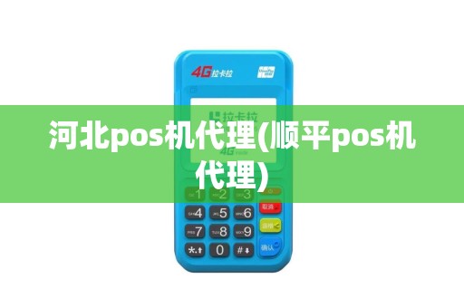 河北pos机代理(顺平pos机代理)