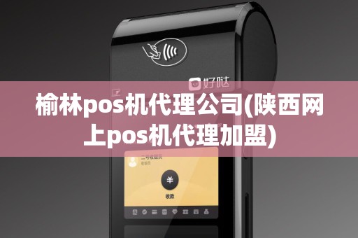 榆林pos机代理公司(陕西网上pos机代理加盟)