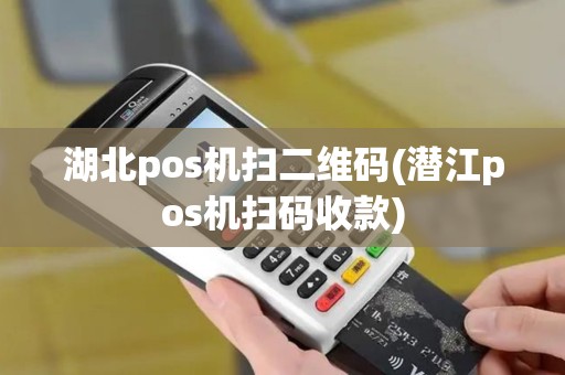 湖北pos机扫二维码(潜江pos机扫码收款)