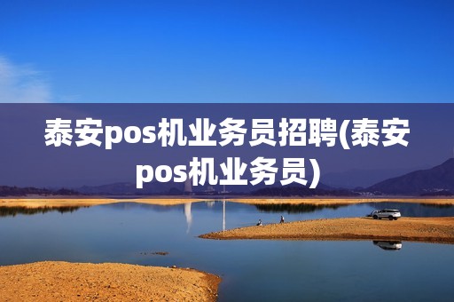 泰安pos机业务员招聘(泰安pos机业务员)