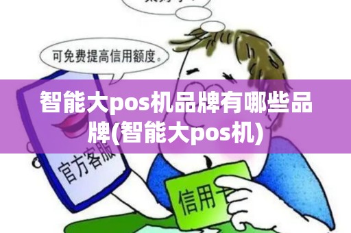 智能大pos机品牌有哪些品牌(智能大pos机)