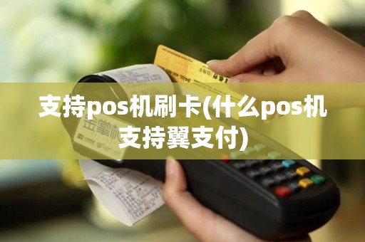 支持pos机刷卡(什么pos机支持翼支付)