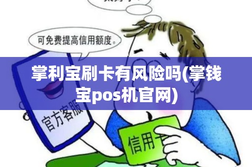掌利宝刷卡有风险吗(掌钱宝pos机官网)